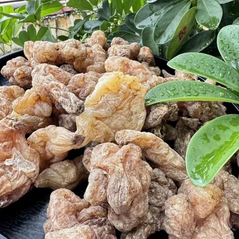 云南秋子专属 玉 精 灵 非香菇