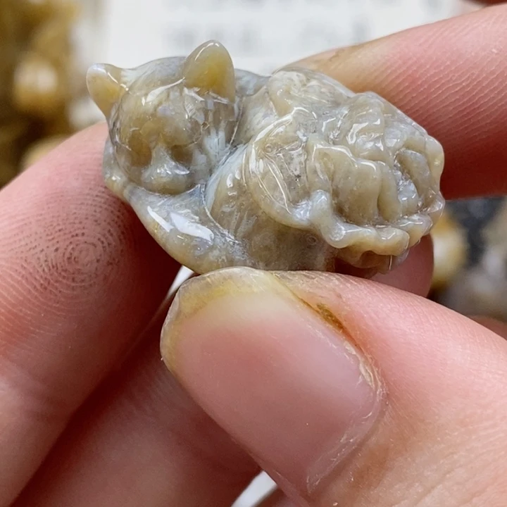 颈饰未镶嵌硅化珊瑚（珊瑚玉）小