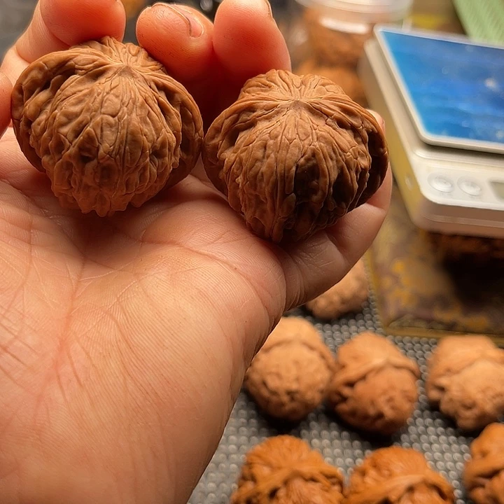 毅***哥把件桃核全品磨盘边42