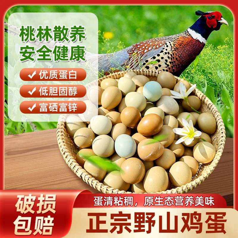 野鸡蛋  七彩山鸡蛋 山里放养野鸡蛋 天然野山鸡蛋