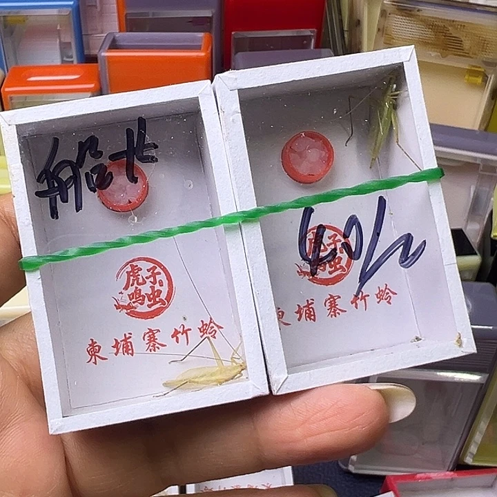 哈哈哈哈哈哈哈哈哈哈哈
