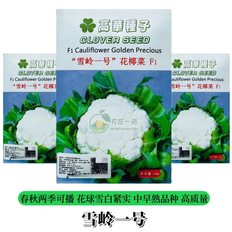 雪岭一号花椰菜种子中早熟耐寒雪白花菜种籽春秋季高产抗病蔬菜种