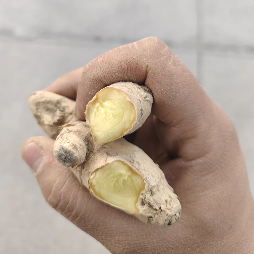 贵州本地小黄姜火姜