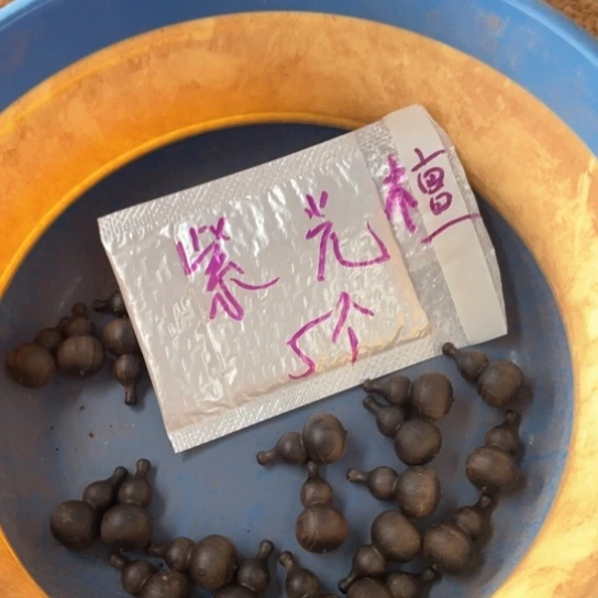 非洲紫檀（红花梨）