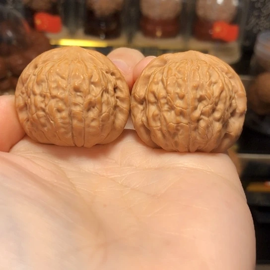 野生小众：招财公子