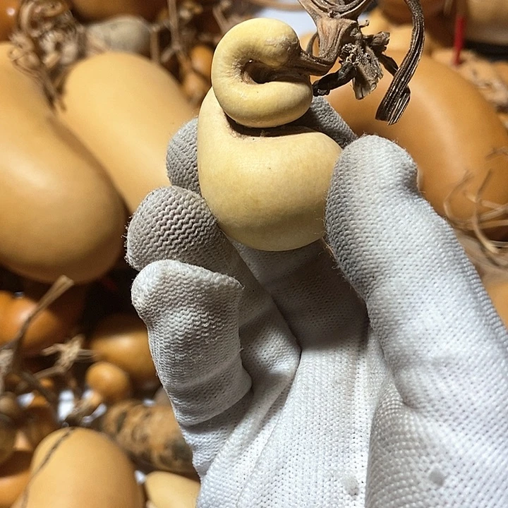 南*风直播间里的拍品链接