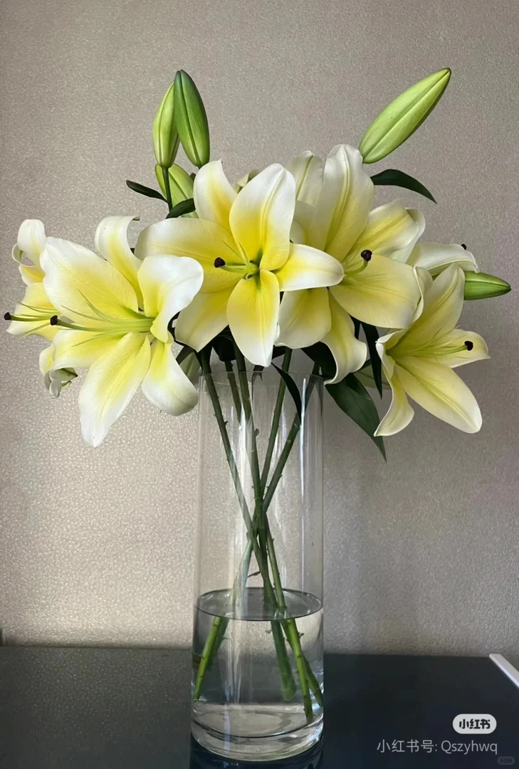 （曼曼）【福利款】黄天霸香水百合5支    2单包邮