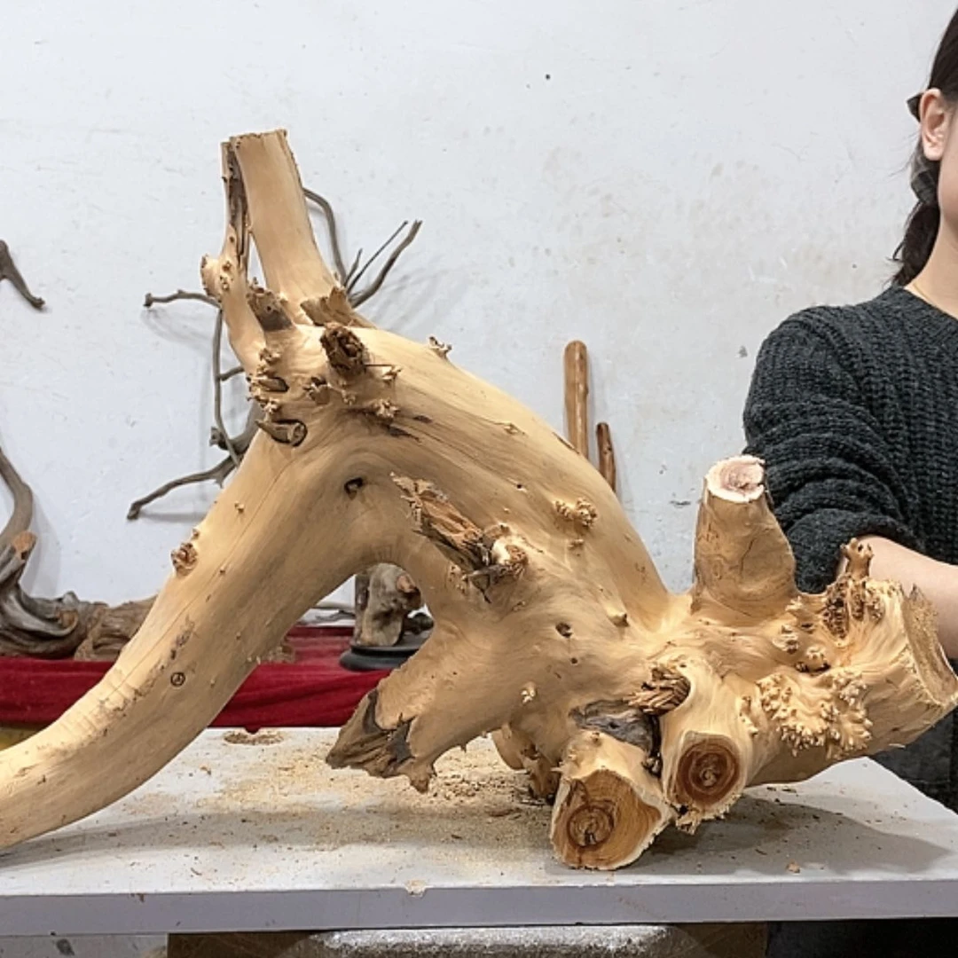 【闪购商品】柏木感*我们都是好孩子