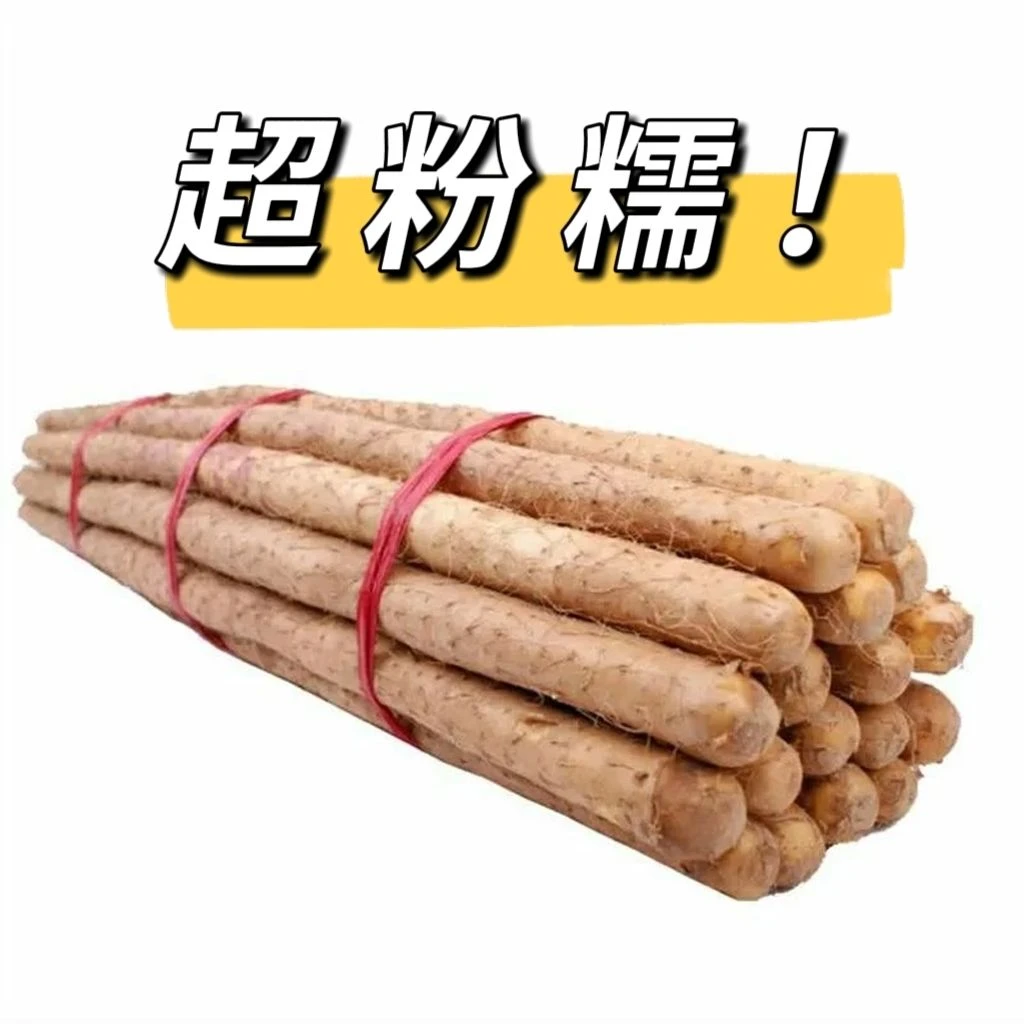 垆土铁棍70cm以上果王中王怀山药品质好果铁棍山药产地直销软糯香
