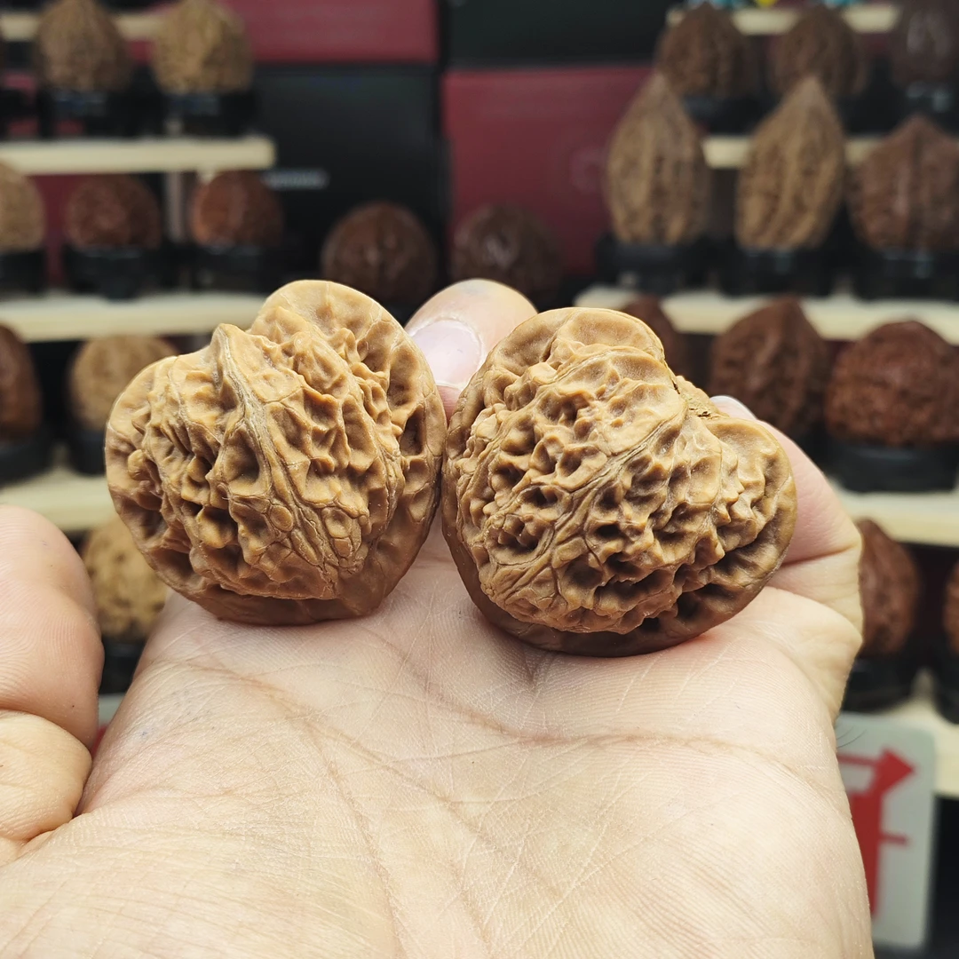 【宫灯狮子头】新手推荐红皮桃心翼文玩推荐玉玺狮子头山地文玩核桃