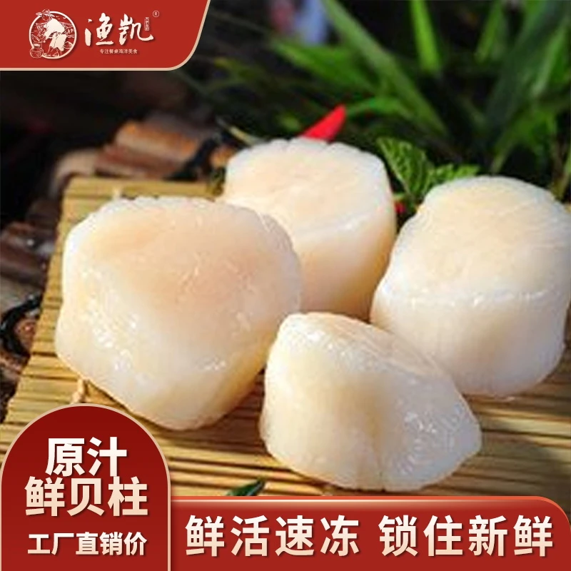 渔凯贝柱鲜活速冻300g/盘拍一发三顺丰包邮