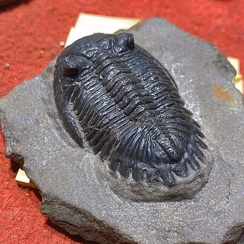 石材家居装修设计风格