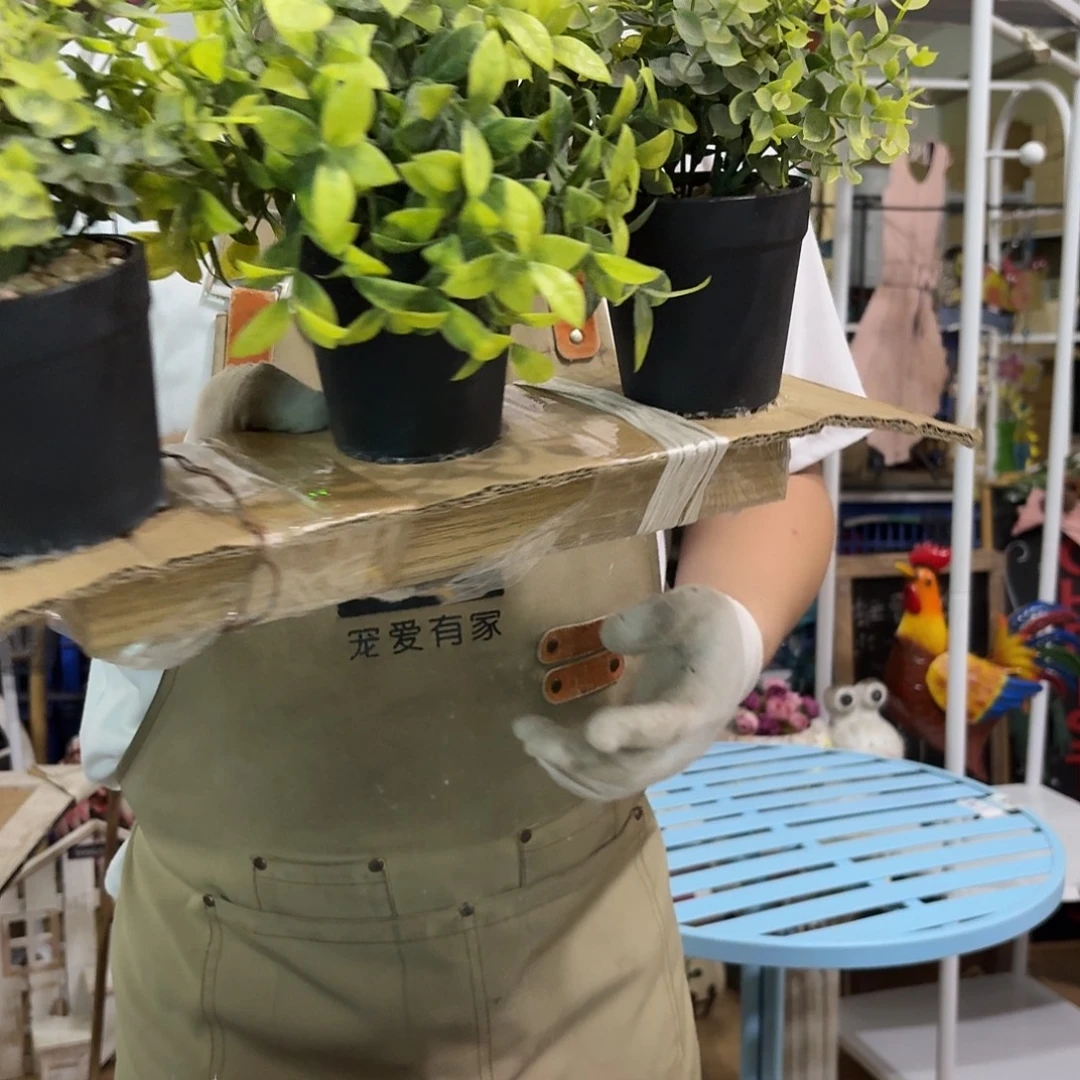 核桃木/黑胡桃（胡桃木）