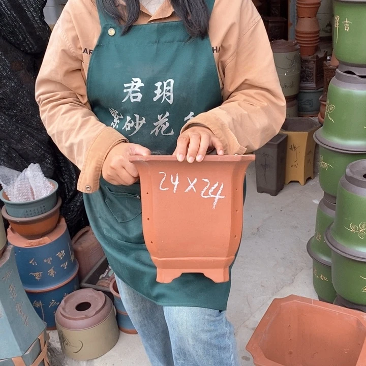 紫砂花盆盆栽花卉苗木种植