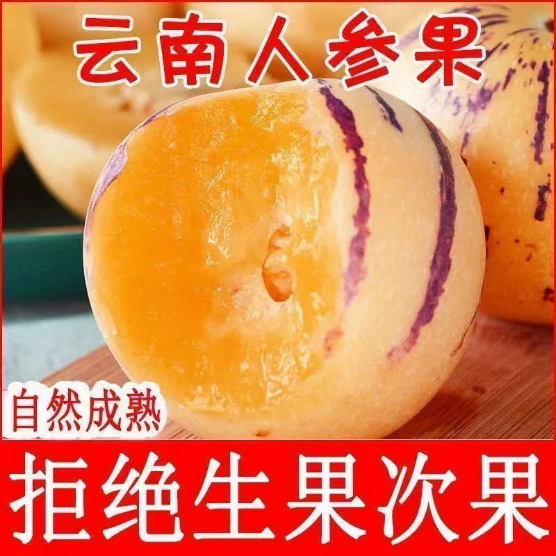 云南石林树上熟人参果黄果黄肉【A加级精品果包甜无酸】