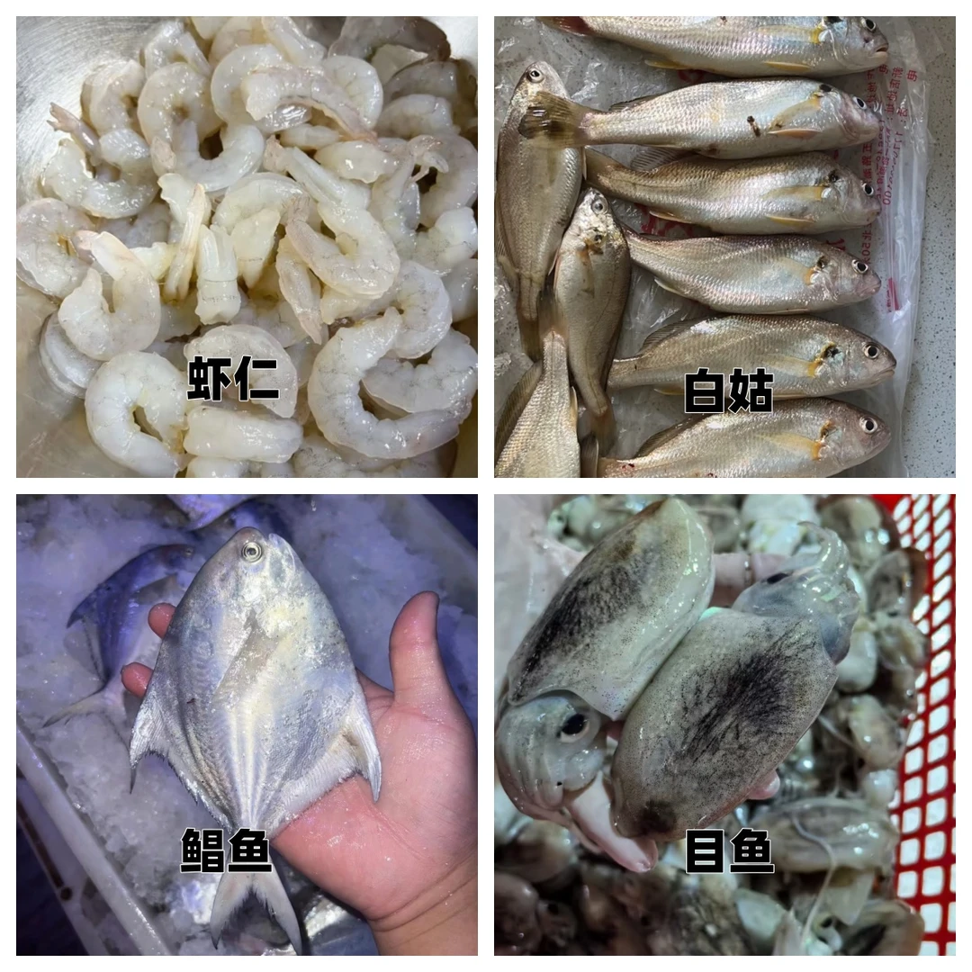【石浦渔夫】白菇鱼+虾仁+小鲳鱼+墨鱼  码头鲜发顺丰冷链