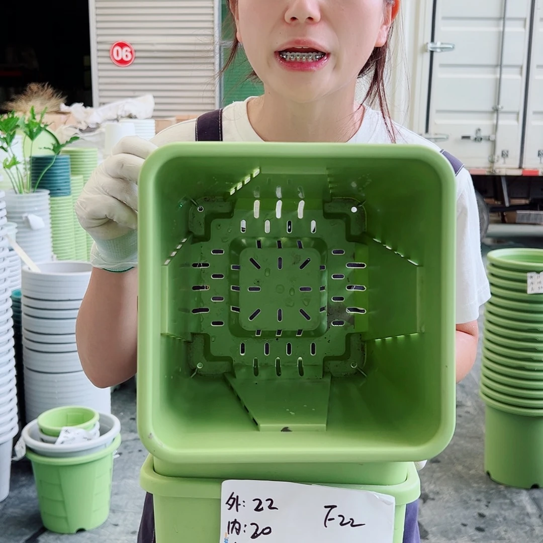 方盆F22果绿5个无托