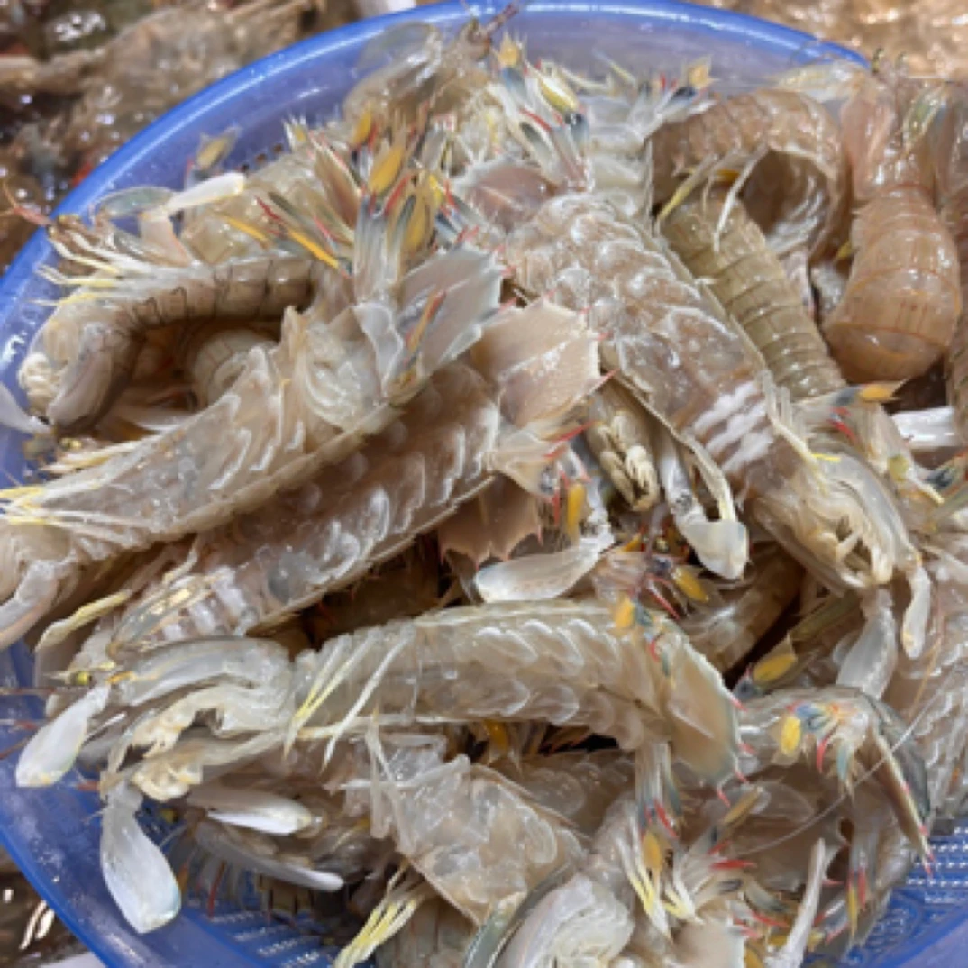 2斤缺氧大号皮皮虾，一斤15只左右