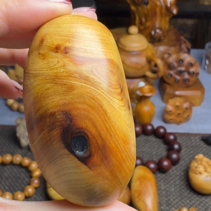 小***学柏木（崖柏）北太行崖柏