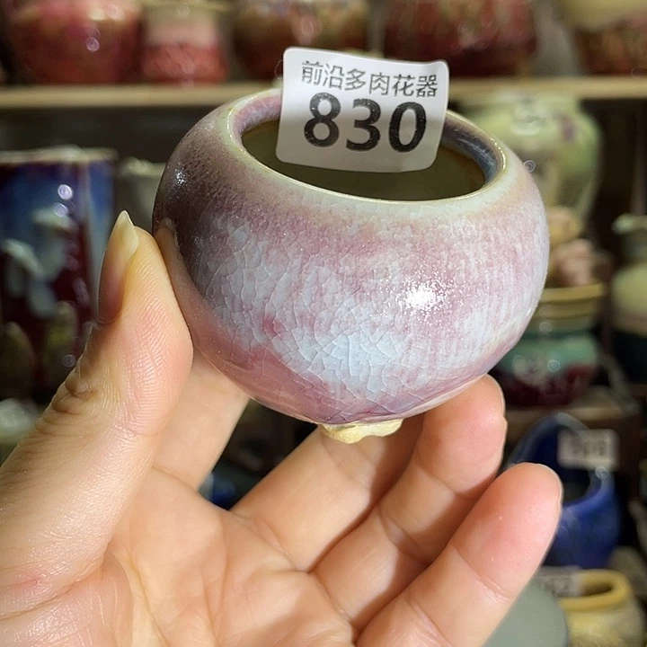 狼盆内口径4高度5
