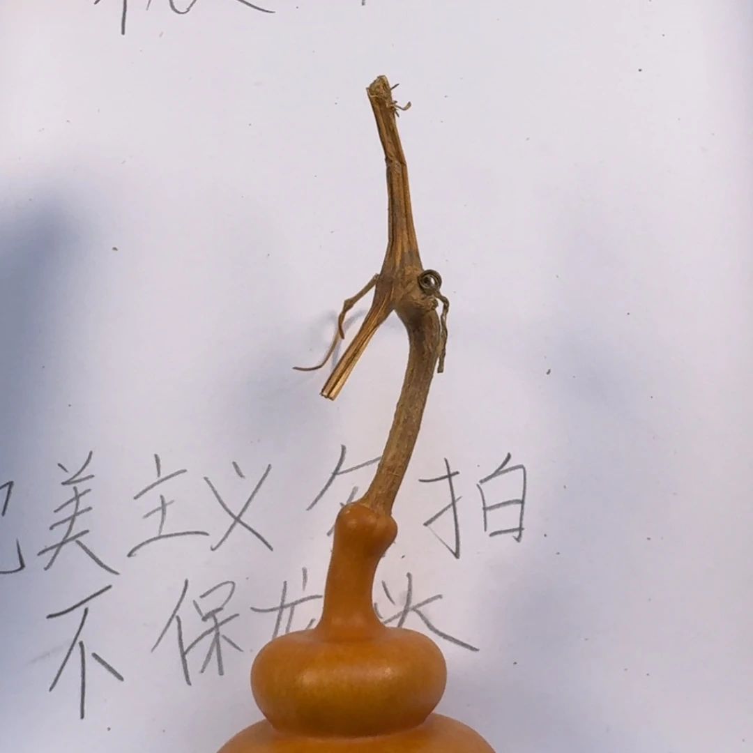 如***7葫芦葫芦葫芦葫芦葫芦