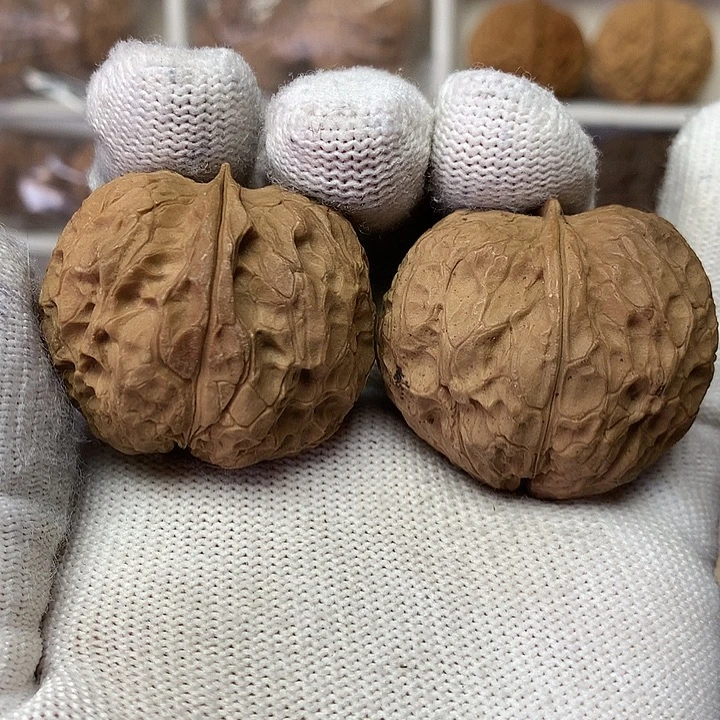 核桃36尺心形小手拟24号