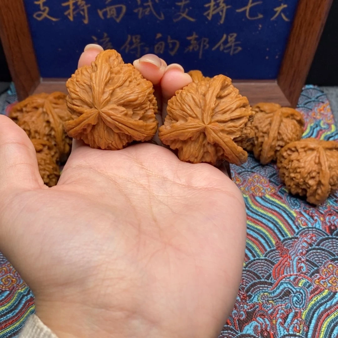 【闪购商品】息*白狮