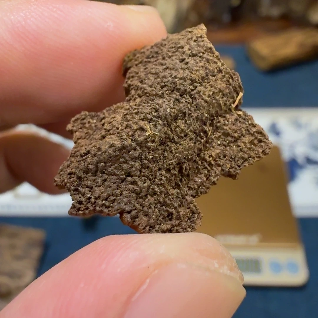 沉香香港鸡母虫漏0.64g