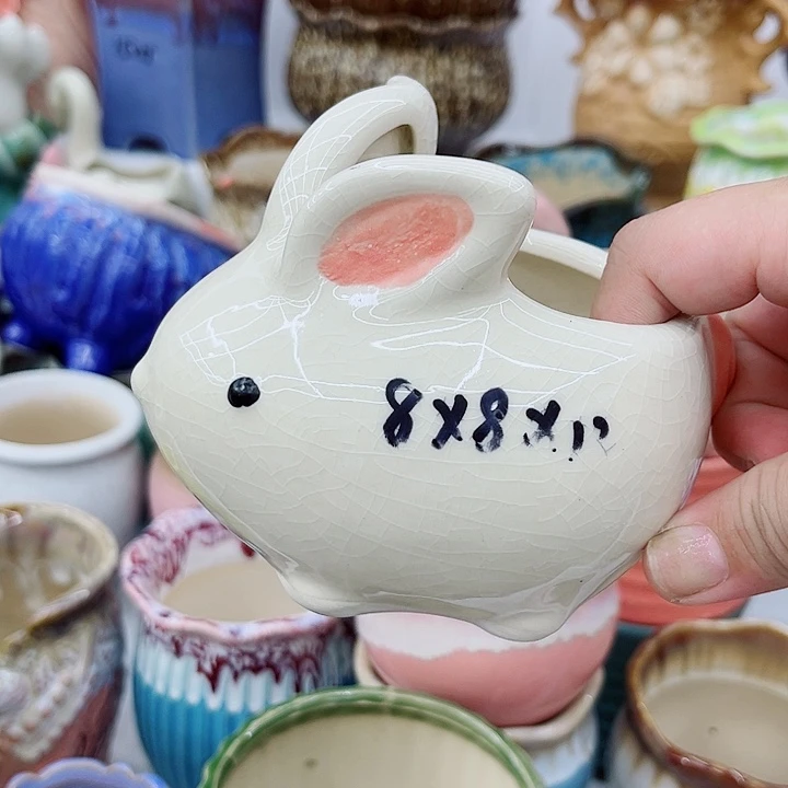 福利盆！9.99包邮