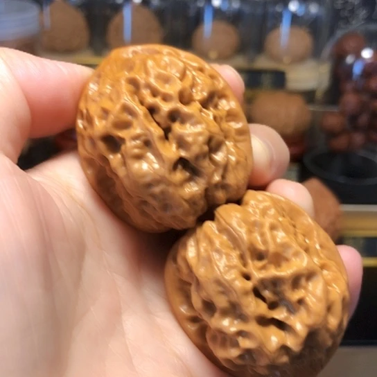野生小众：金蟾眼货头