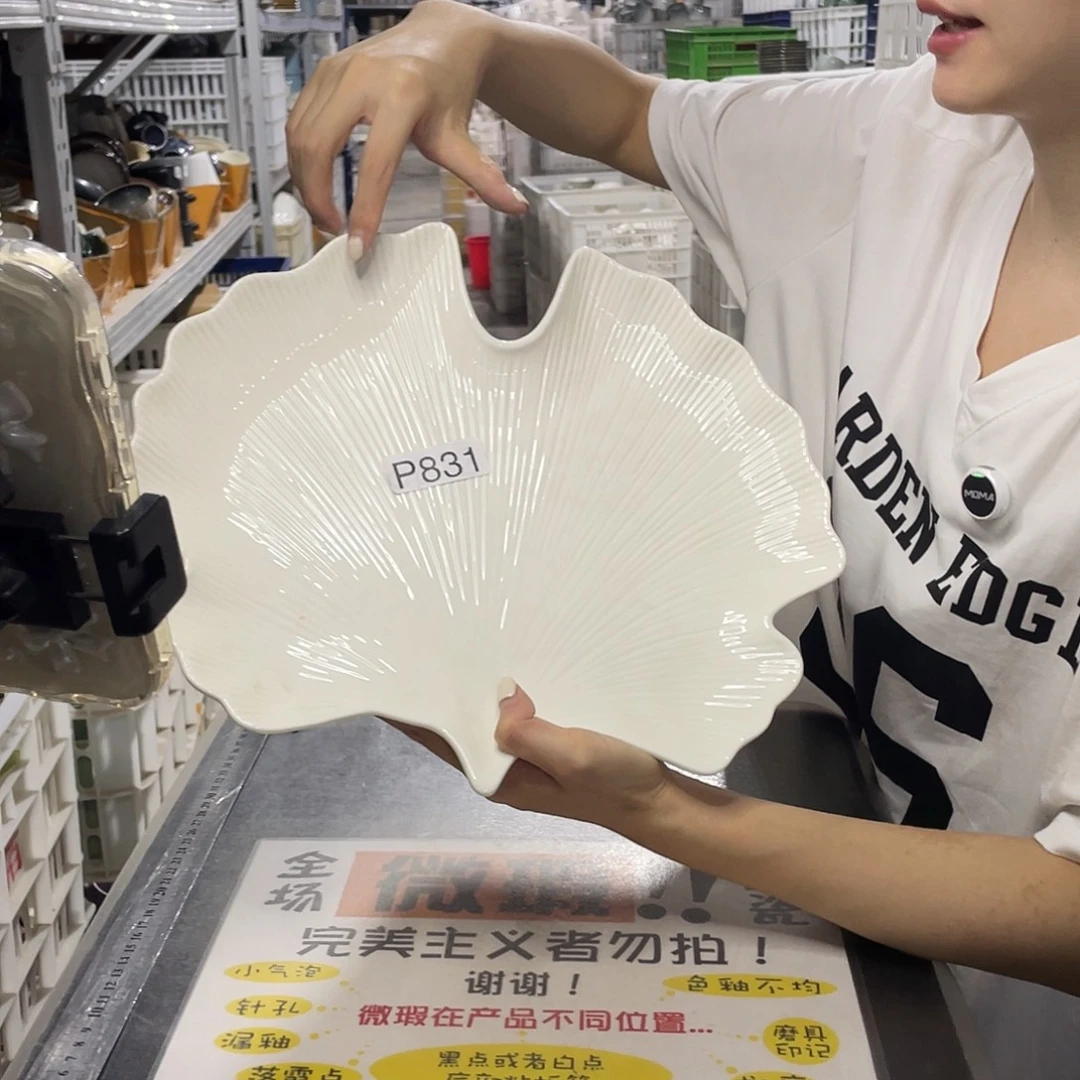 瓷片831              1个