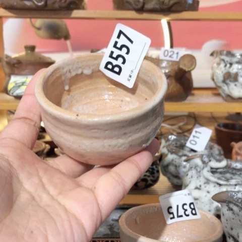 S*9木有一点点的小姐姐