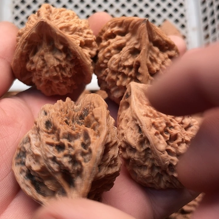 嘎***硬核桃官帽单三愣奔