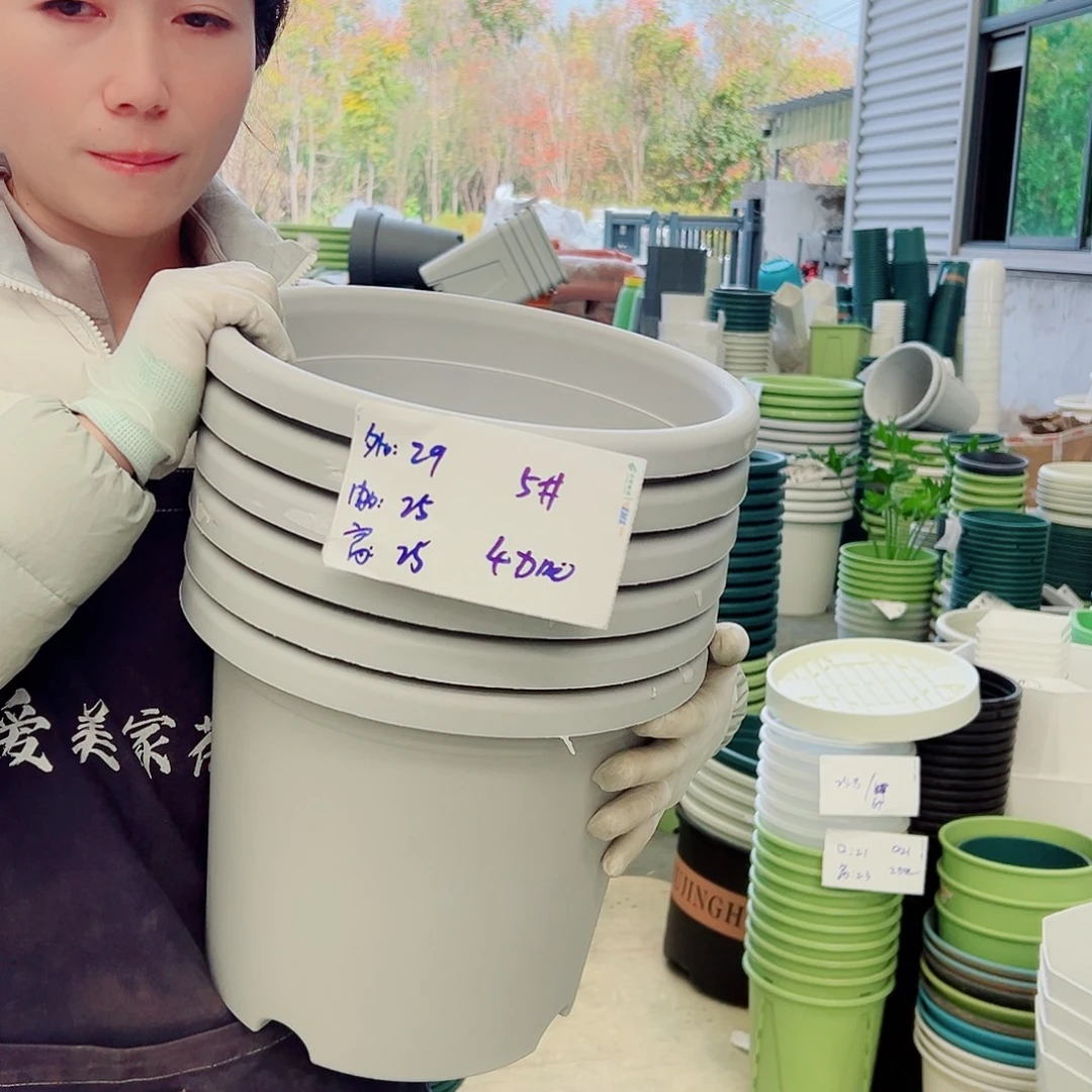 四季盆5#灰白6个无托