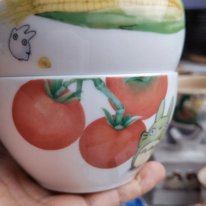A***i不锈钢龙猫一个。。。。