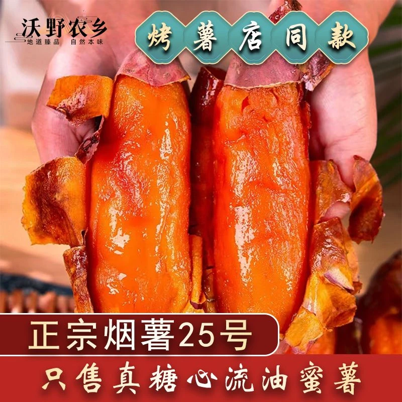 沃野农乡|正宗烟薯25号红薯烤薯店同款山东河北送货上门中秋
