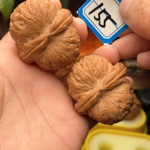 文玩核桃吊坠柠*儿平谷元宝44