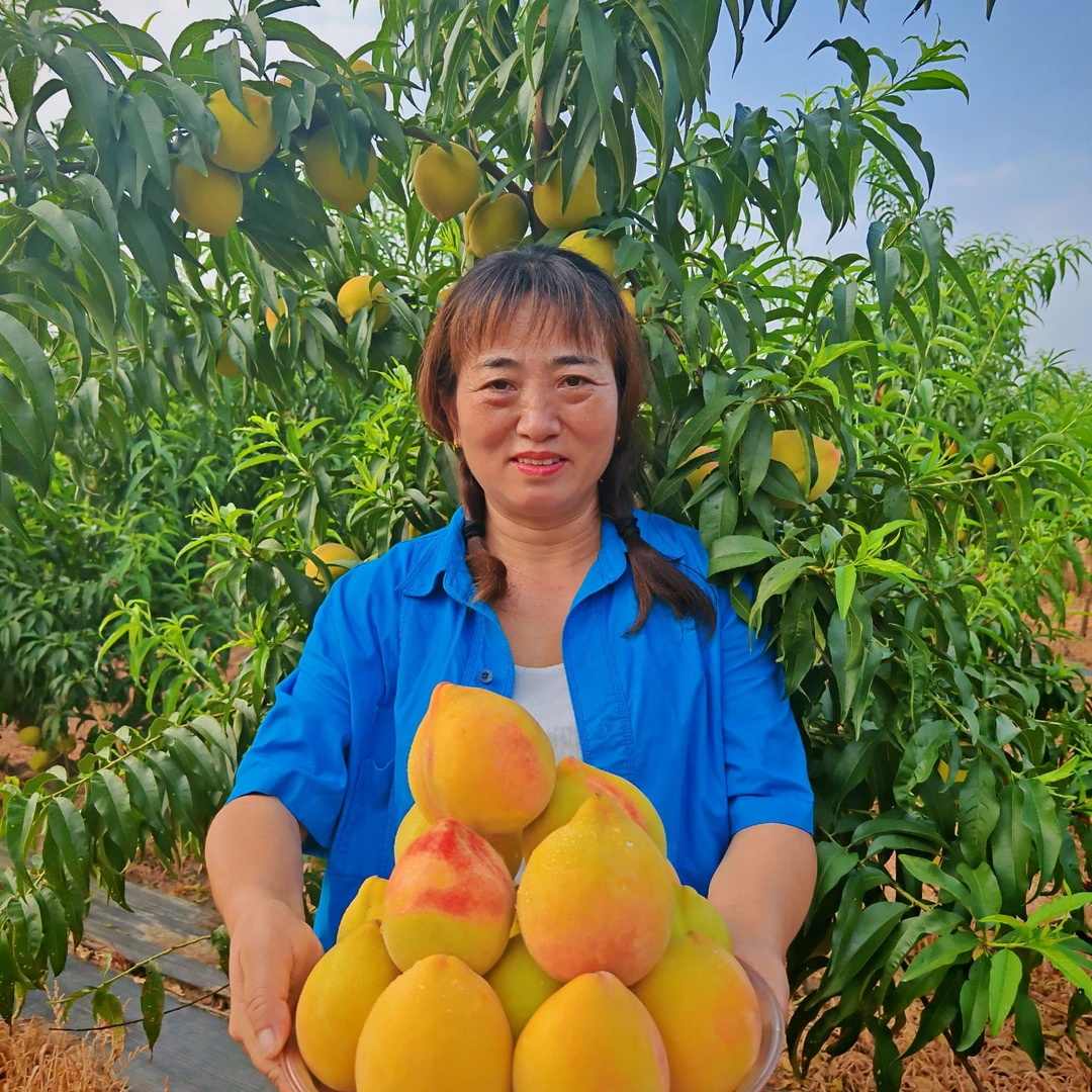 正宗湖北安福寺黄桃，口感爆甜多汁，红心黄肉，现摘现发。