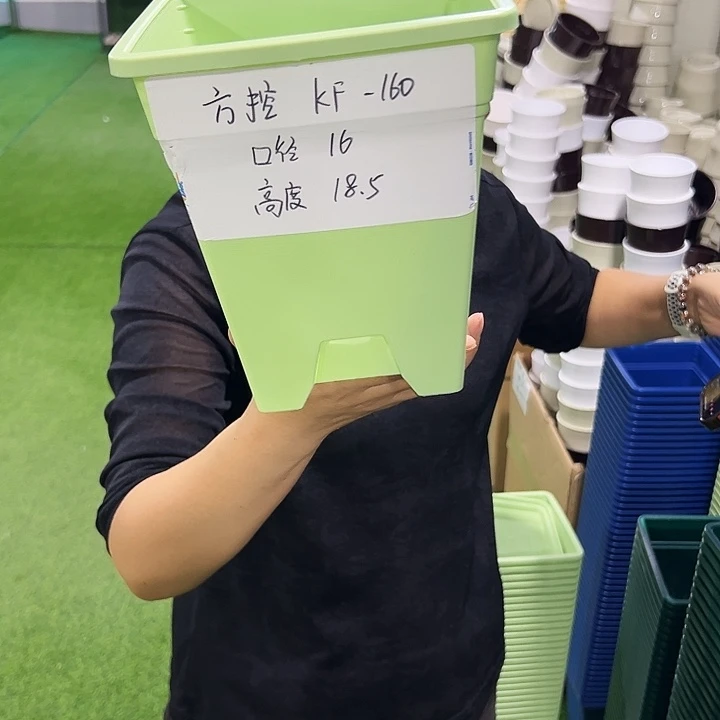 特价方盆口16高18果绿带托5只