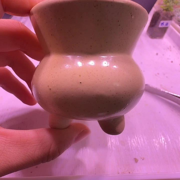 盆19，可爱小盆黄色，多肉盆闲置处理福利出！