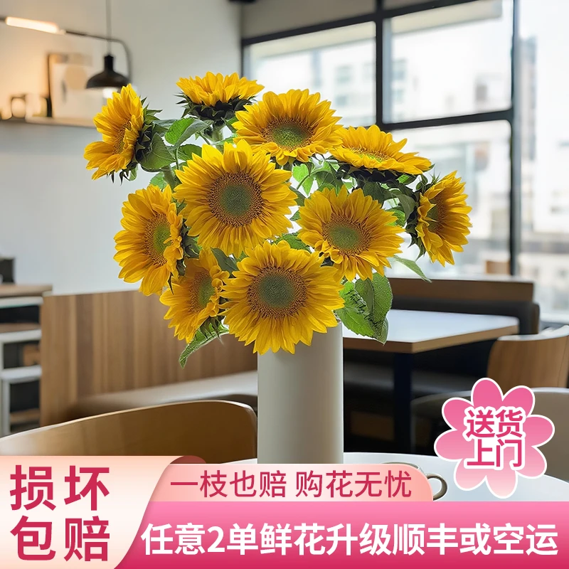 【黄梦宇】绿心向日葵全场鲜花任意满两单及以上包邮送货上门