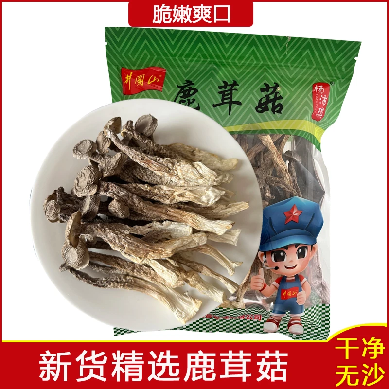 井冈山特产 优质高山原产鹿茸菇 干货无硫无干燥剂炖美味食用菌菇