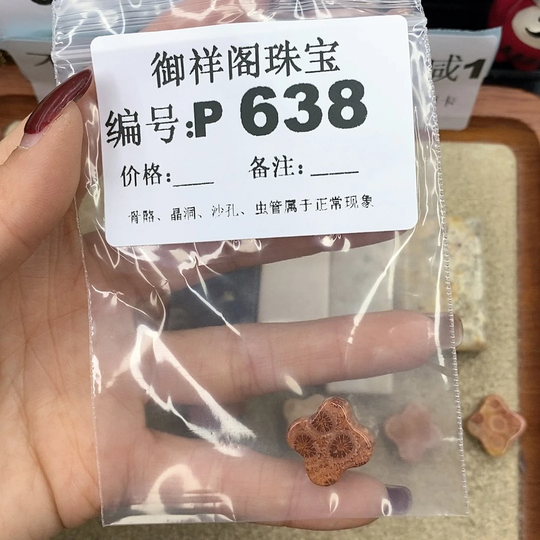 硅化珊瑚（珊瑚玉）P未镶嵌丿**绪