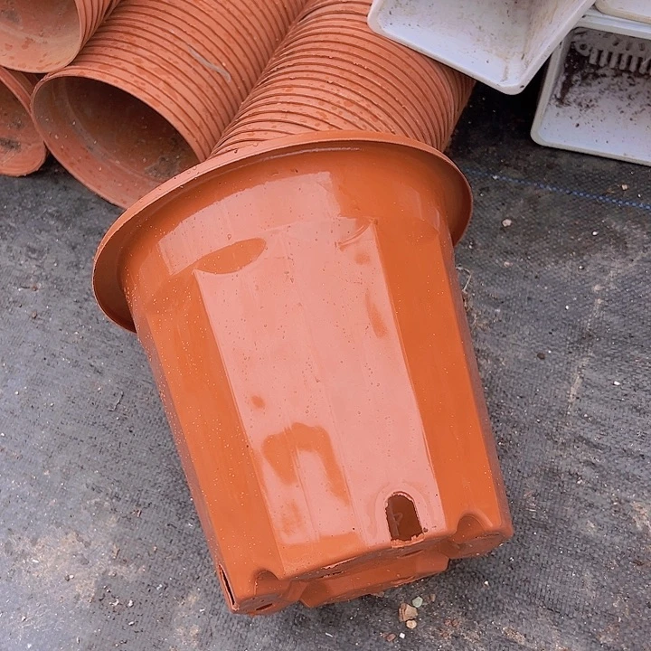 红砖口径22.5高20发10个