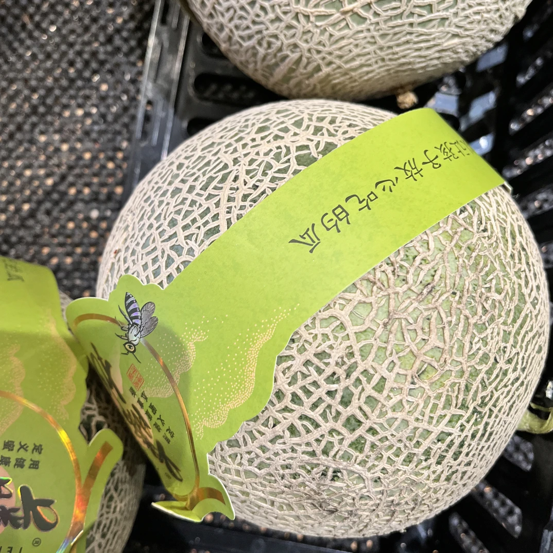 臻选新鲜 腾丸瓜
