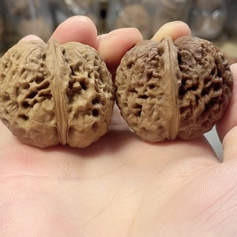 文玩核桃把件西域狮王带彩磕尖41