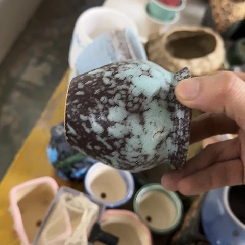 ····全是福利····