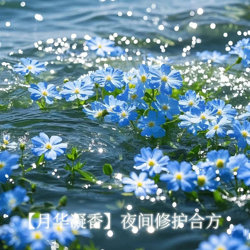【月华凝香】夜间修护合方
