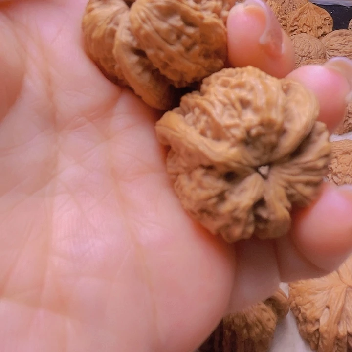 哈****）核桃核桃核桃核桃核桃