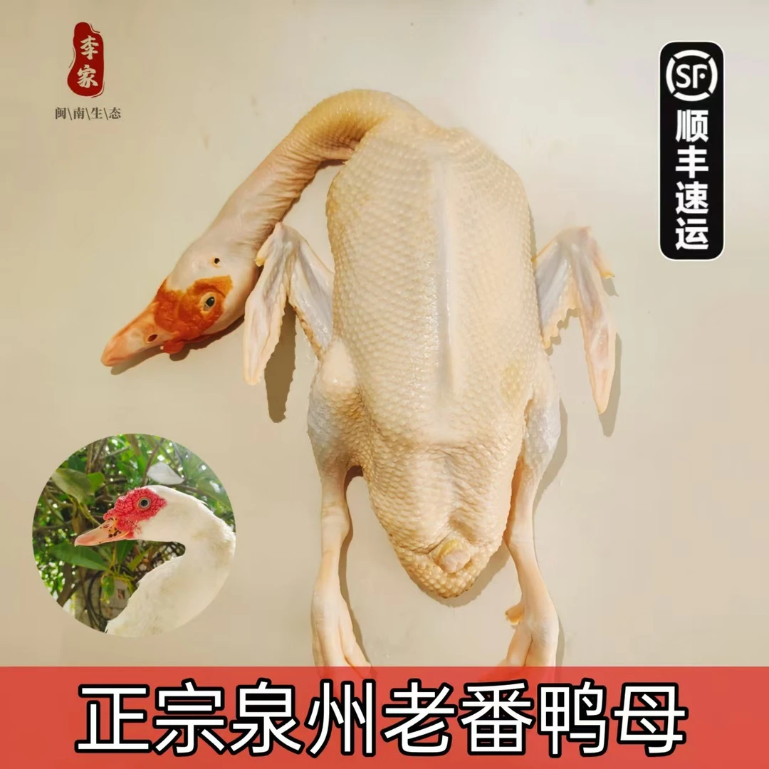 【泉州老番鸭母】山林散养福建大番鸭子红脸土鸭子肉整只新鲜现杀